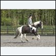 durdress22_0287