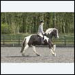 durdress22_0288