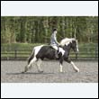durdress22_0289