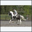 durdress22_0290