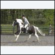 durdress22_0291