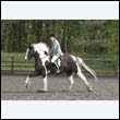 durdress22_0292