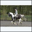 durdress22_0293