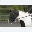 durdress22_0294
