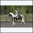 durdress22_0297