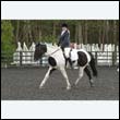 durdress22_0298