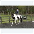durdress22_0299