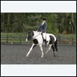durdress22_0300