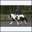 durdress22_0302