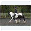 durdress22_0303