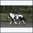 durdress22_0304