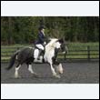 durdress22_0307