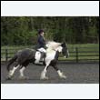 durdress22_0308