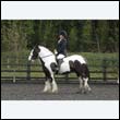durdress22_0312