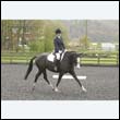 durdress22_0316