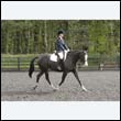 durdress22_0318