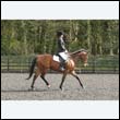 durdress22_0323