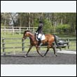 durdress22_0325