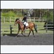 durdress22_0326