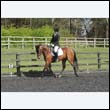 durdress22_0327