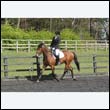 durdress22_0328