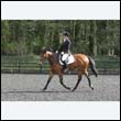 durdress22_0329