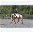 durdress22_0330