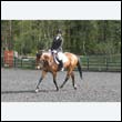 durdress22_0331