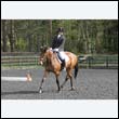 durdress22_0332