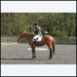 durdress22_0333