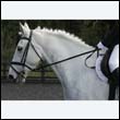 durdress22_0336