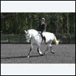 durdress22_0344