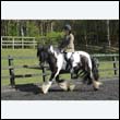durdress22_0352
