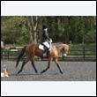 durdress22_0354