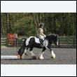 durdress22_0355