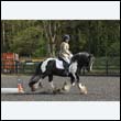 durdress22_0356