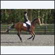 durdress22_0359