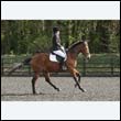 durdress22_0360