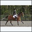 durdress22_0361