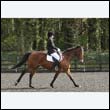 durdress22_0362