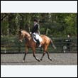 durdress22_0363