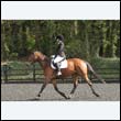 durdress22_0364