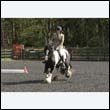 durdress22_0365