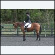 durdress22_0366