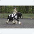 durdress22_0368