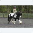 durdress22_0369