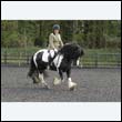 durdress22_0370