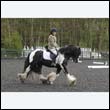 durdress22_0371