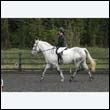 durdress22_0373