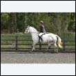 durdress22_0375